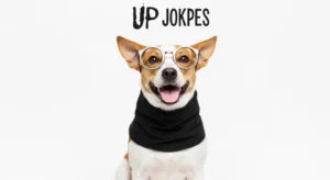 updog jokes